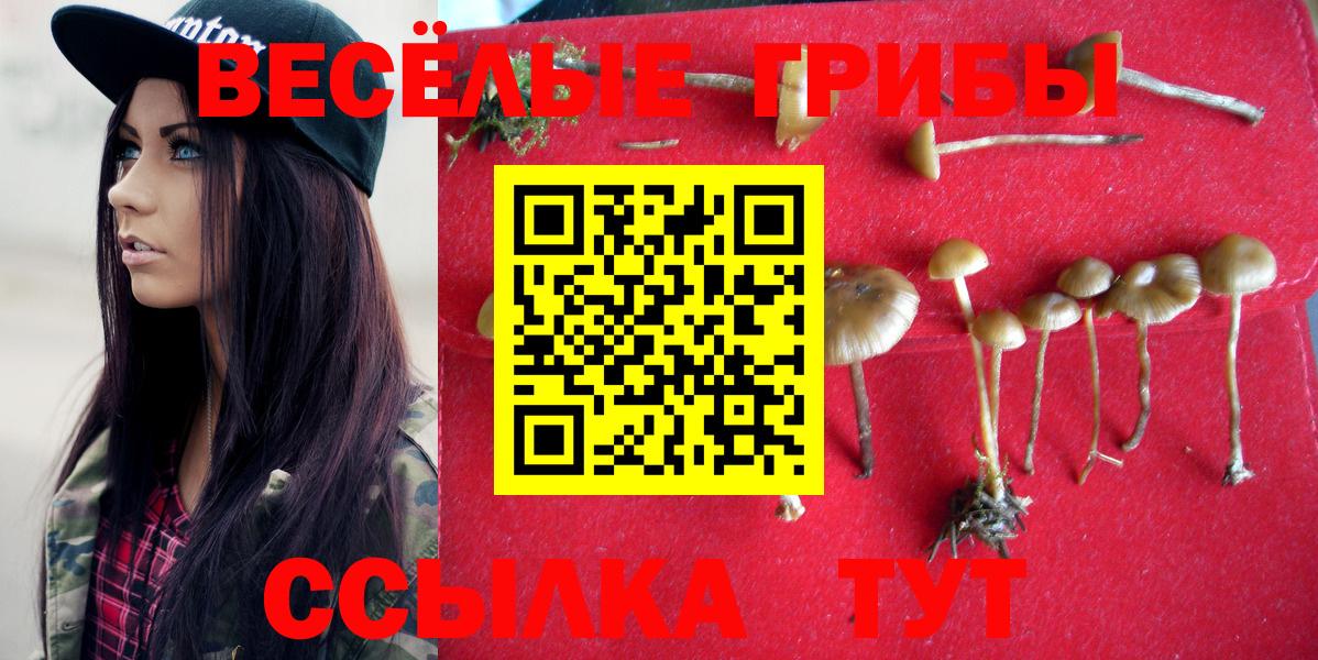 Галлюциногенные грибы прущие грибы  Галлюциногенные грибы GOLDEN TEACHER  цена   Когалым  Вход с VPN 