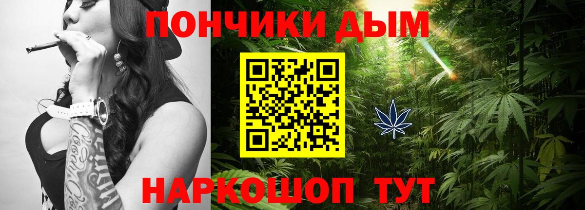 Каннабис индика Когалым